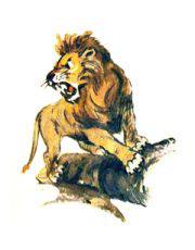 Лев становится царем зверей