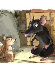 Мышь и Крыса