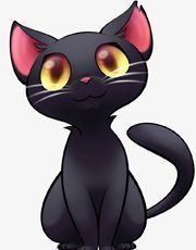 Чёрная кошка 