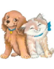 Раскраски кошка и собака
