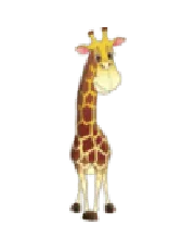 Раскраска Жираф 