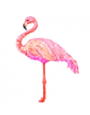 Раскраска антистресс фламинго