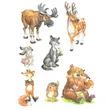Раскраска сборник диких животных