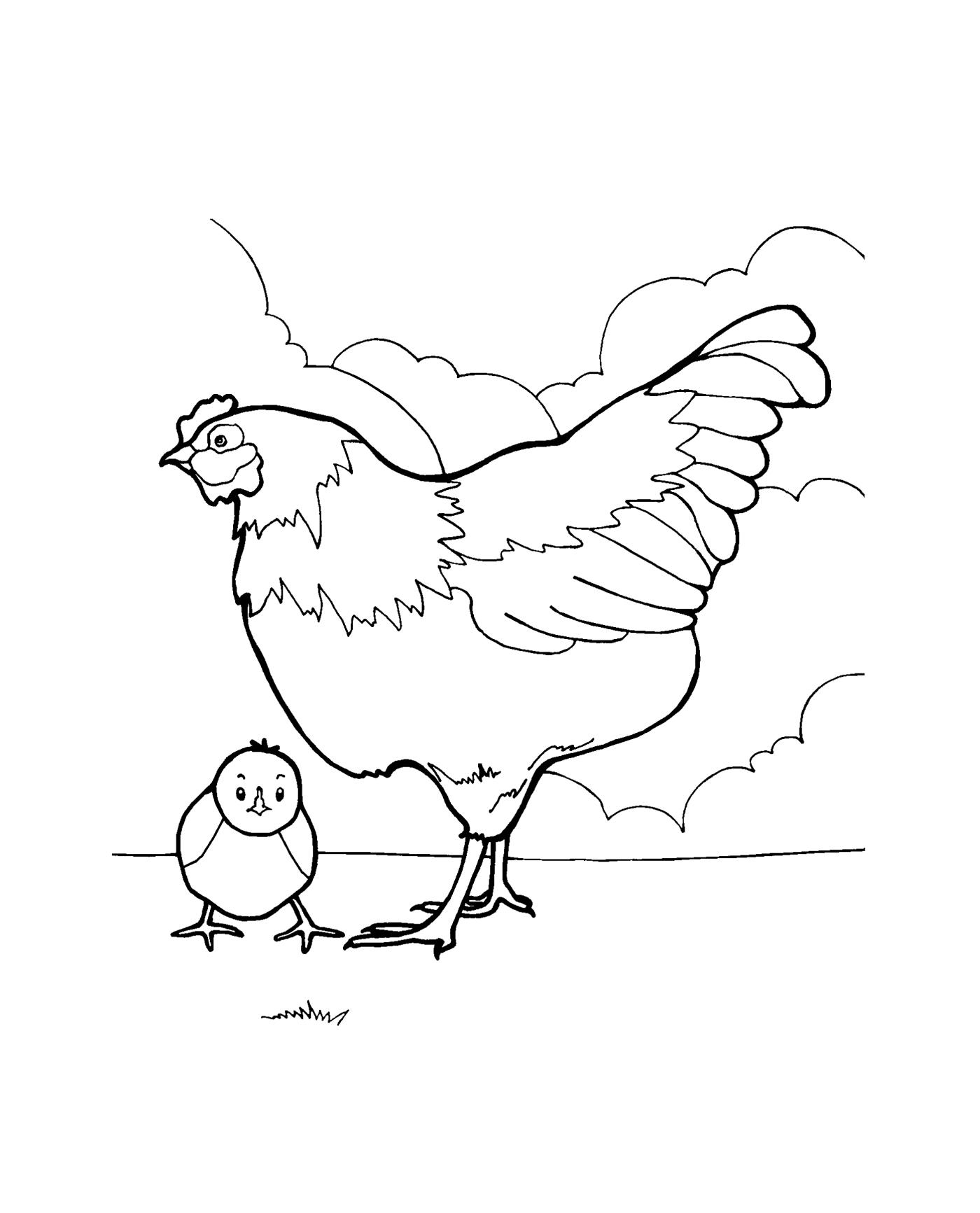 Куры раскраска для детей. Раскраска курица с цыплятами. Курица раскраска для детей. Курочка раскраска для детей. Домашние птицы. Раскраска.