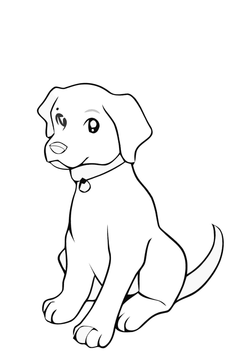 Раскраска собака лабрадор